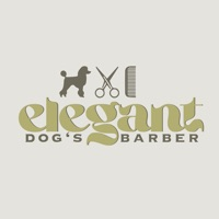 Elegant dog's barber