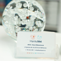 HankaVet